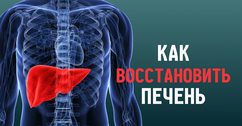 Чтобы печень была как новая! 12 самых лучших блюд, которые восстанавливают… 12 лучших друзей самого важного органа