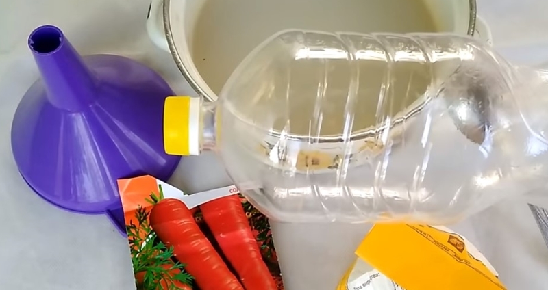 Хитрая посадка моркови: семена, бутылка — и корнеплоды даже прореживать не нужно. Минимум возни, отличный урожай