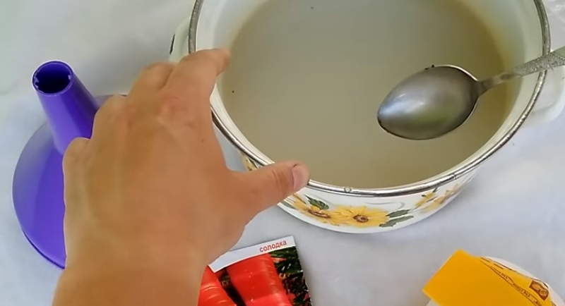 Успешная посадка моркови с помощью бутылки